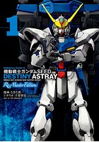 機動戦士ガンダムSEED DESTINY ASTRAY Re: Master Edition （1）