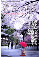 Tokyo Cherry Blossom 東京の桜 〜新宿 中央公園・熊野神社（十二社）〜