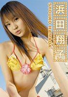 浜田翔子DVD-BOX