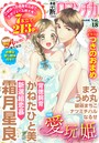 禁断Loversロマンチカ Vol.018 愛玩姫
