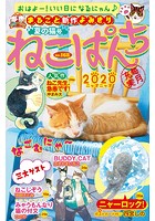 ねこぱんち 夏の猫号 No.168