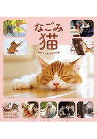 なごみ猫 BEST SELECTION