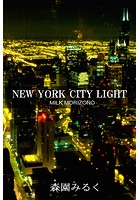 NEW YORK CITY LIGHT