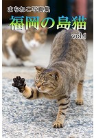 まちねこ写真集・福岡の島猫 vol.1