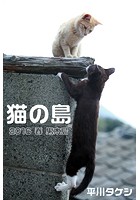 猫の島 2016 春 男木島