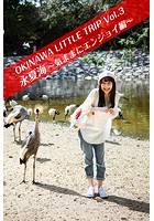 OKINAWA LITTLE TRIP Vol.3 永夏海 2 〜気ままにエンジョイ編〜