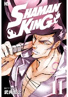 SHAMAN KING 〜シャーマンキング〜 KC完結版 （11）