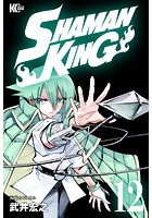 SHAMAN KING 〜シャーマンキング〜 KC完結版 （12）
