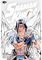SHAMAN KING 〜シャーマンキング〜 KC完結版 （33）