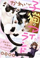 かわいい子猫のアイランド 〜漫画家が保護猫を引き取った話〜