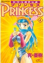 美少女創世伝説 PRINCESS 4
