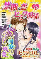 禁断の恋 ヒミツの関係 vol.26