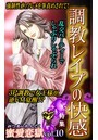 蜜愛恋獄 Vol.10 〜特集/調教レイプの快感コレクション